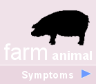 FARM