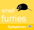 SMALLFURRY